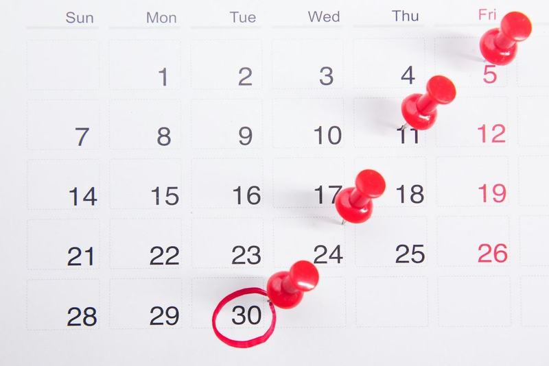 A wall calendar with red pins marking due dates